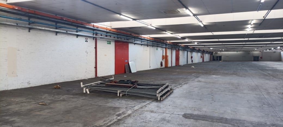 To Let commercial Property for Rent in Diep River Western Cape